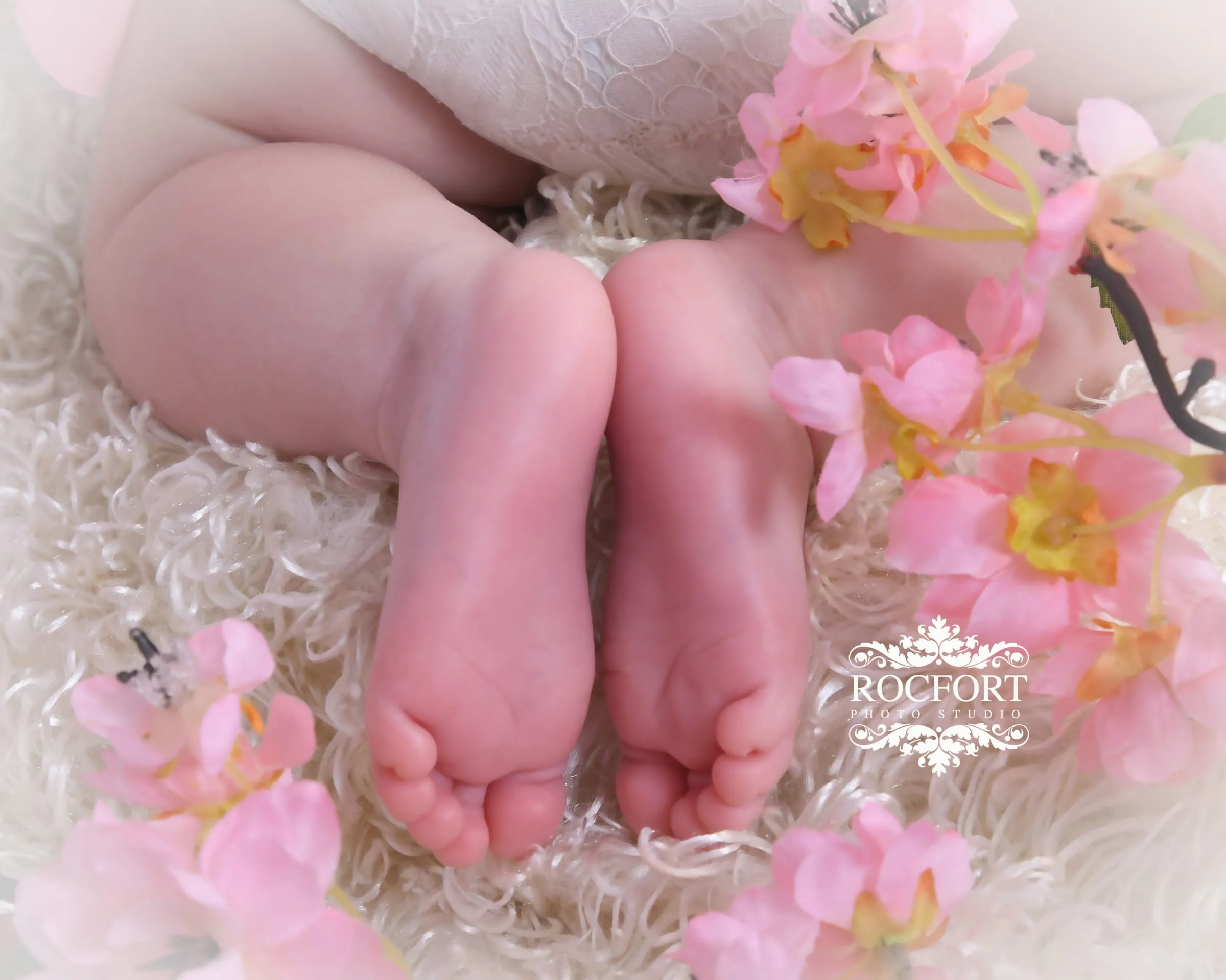 Rocfort Photo Studio studio