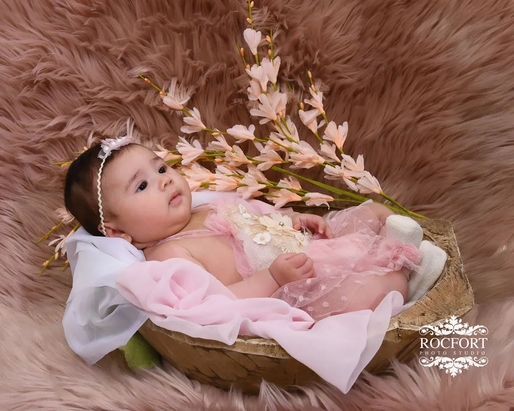Rocfort Photo Studio studio