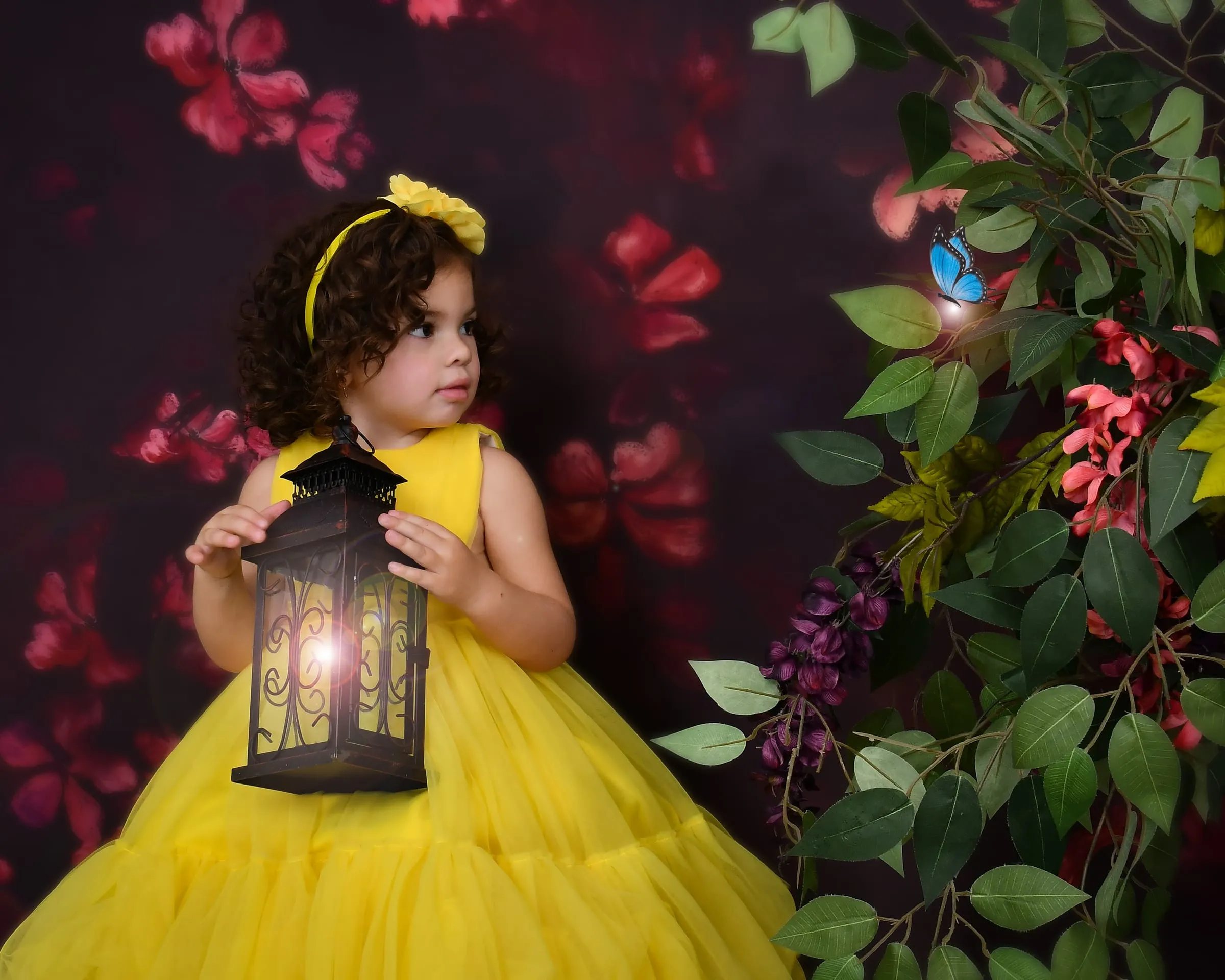 Rocfort Photo Studio studio