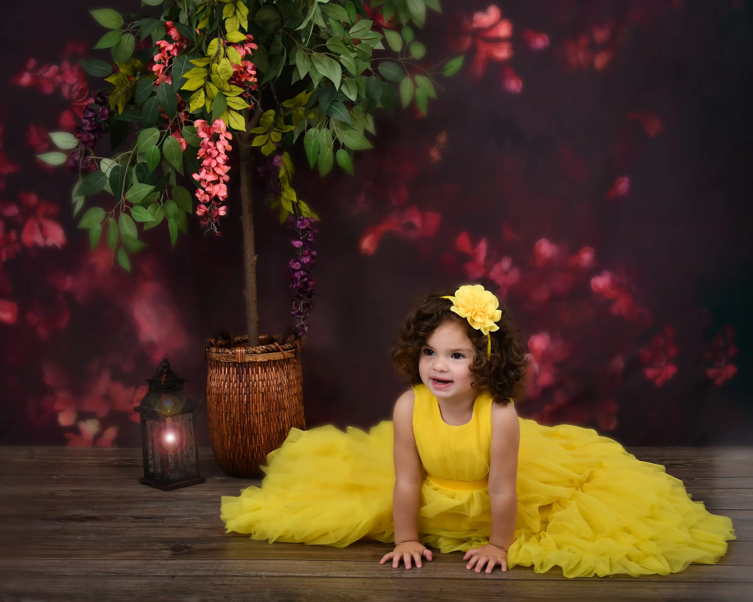 Rocfort Photo Studio studio