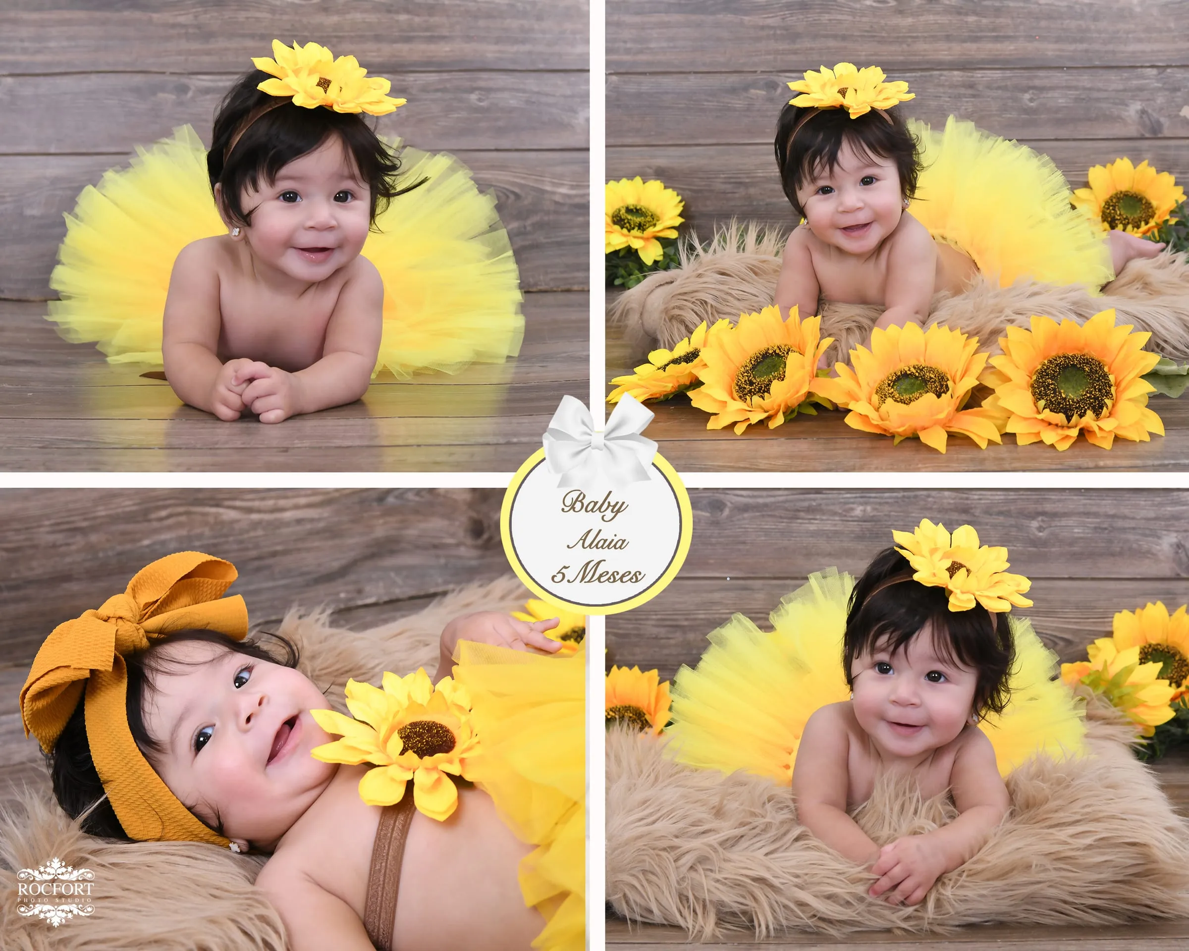 Rocfort Photo Studio studio
