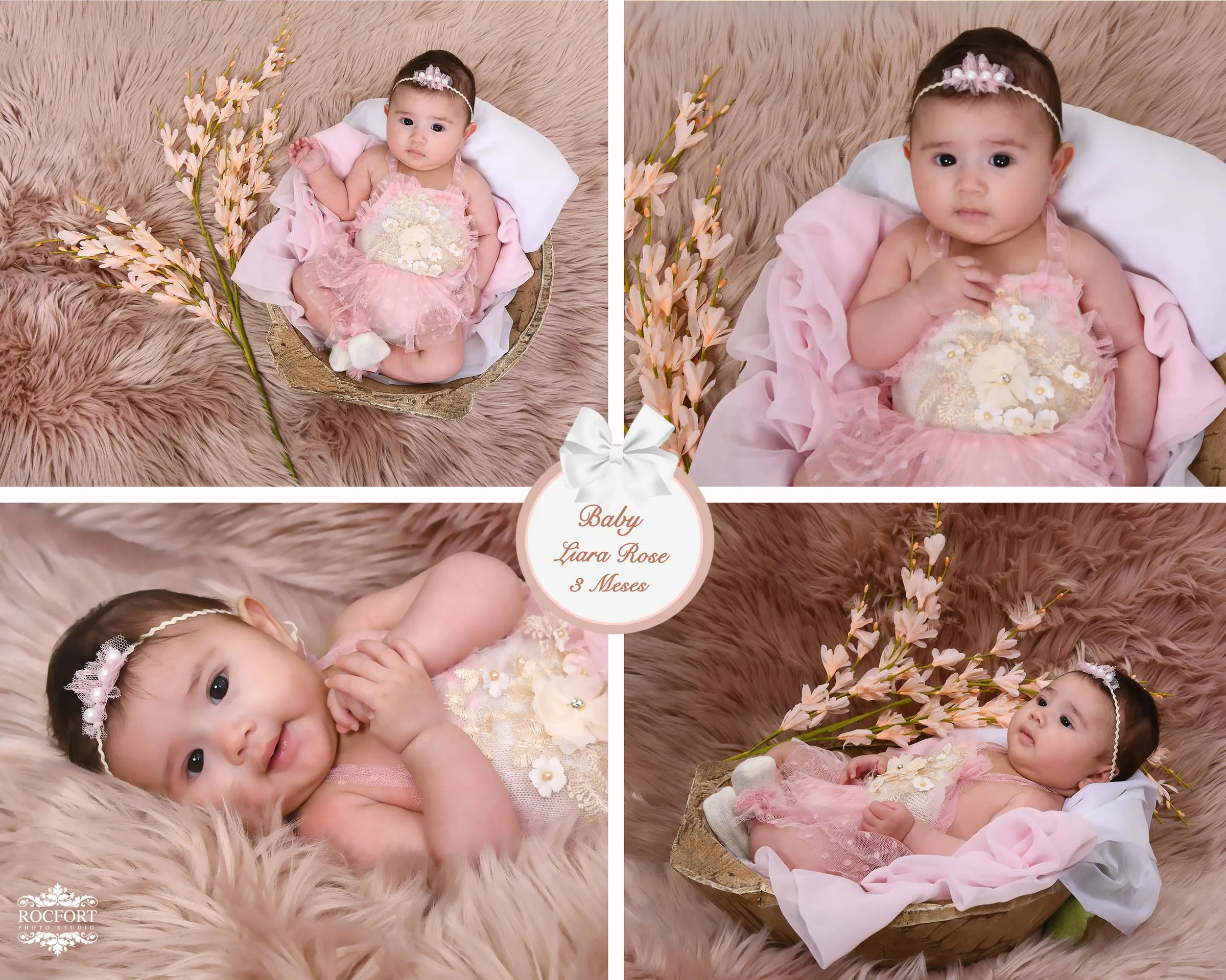 Rocfort Photo Studio studio