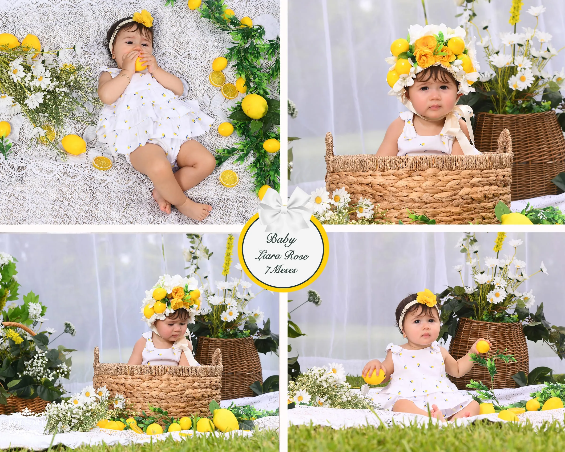 Rocfort Photo Studio studio