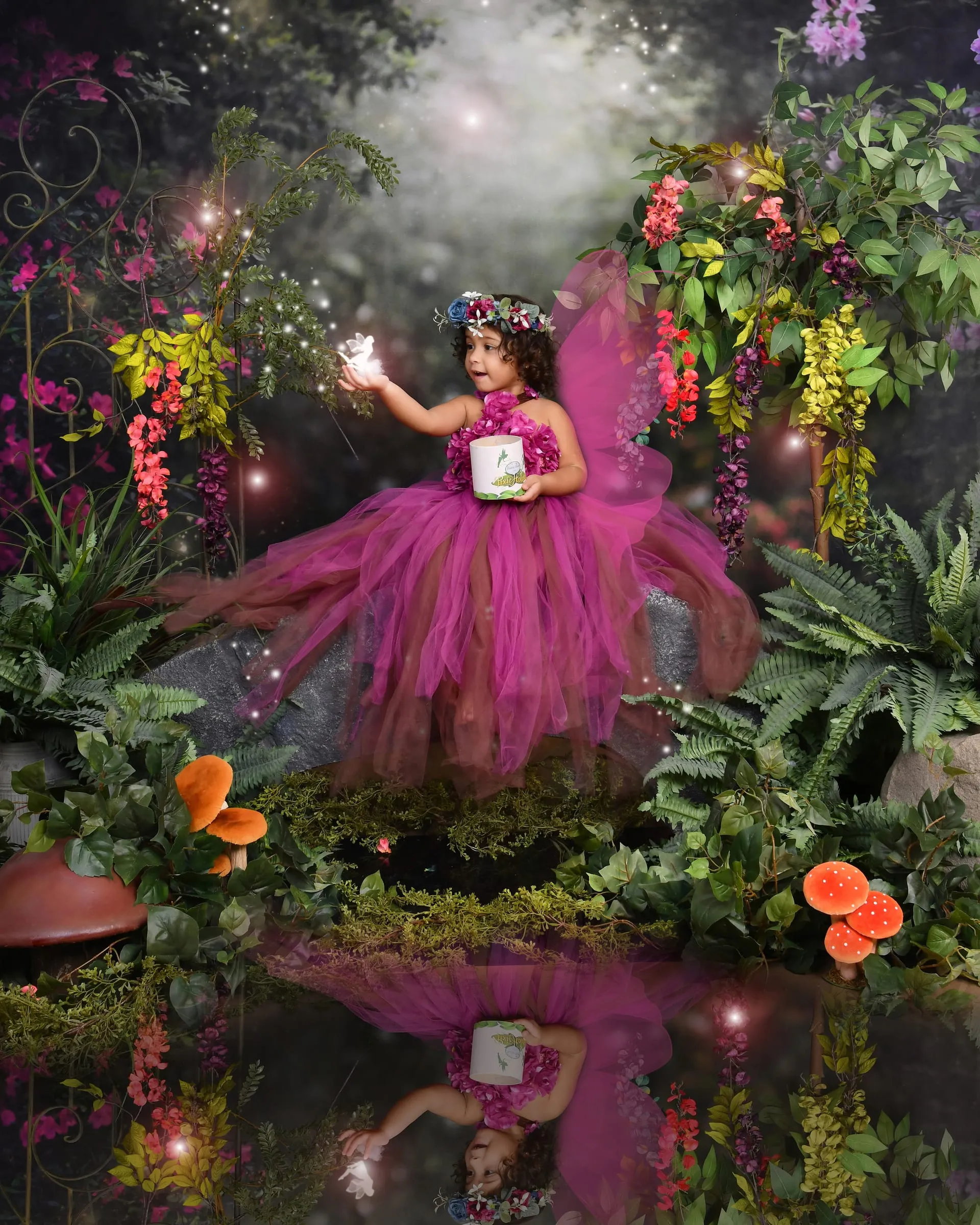 Rocfort Photo Studio studio